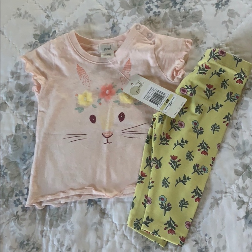 Baby Bunny Set NWT 3-6 months